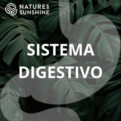 Sistema Digestivo