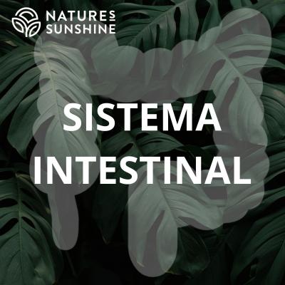 Sistema Intestinal