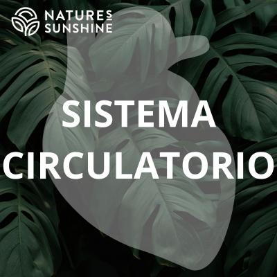 Sistema Circulatorio