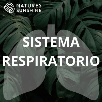Sistema Respiratorio