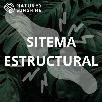 Sistema Estructural