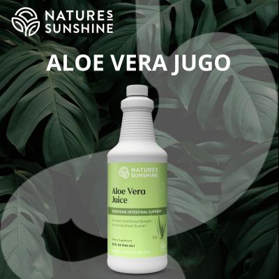 Aloe Vera