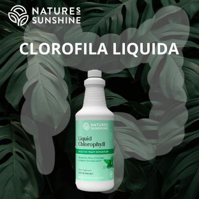 Clorofila Liquida