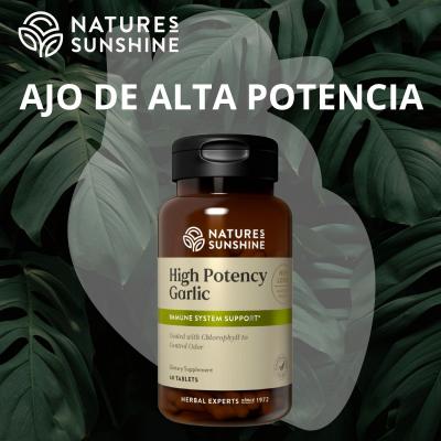 Ajo de Alta Potencia
