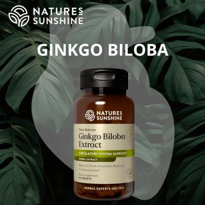 Ginkgo Biloba