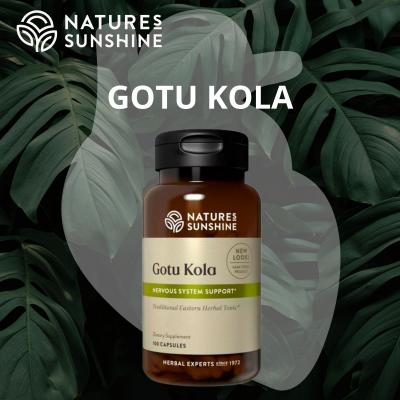 Gotu Kola