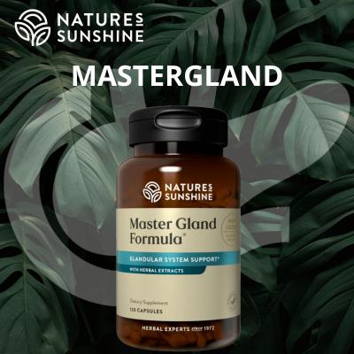 Mastergland