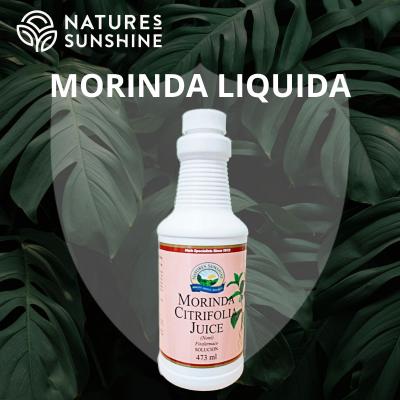 Morinda Liquida